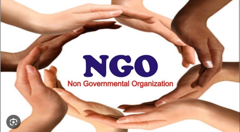 NGO urges govt. to provide more support systems for women