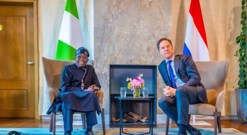 President Tinubu meets Netherlands PM for enhanced trade opportunities
