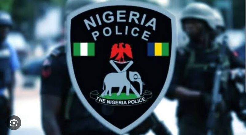 Police Arrest 6 Spaniards, 76 Others In Kano