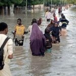 Borno Flood: Maiduguri Residents Use Mosquito Nets To Fish