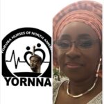 YORNNA Holds Free Medical Outreach For 2000 Residents In Lagos