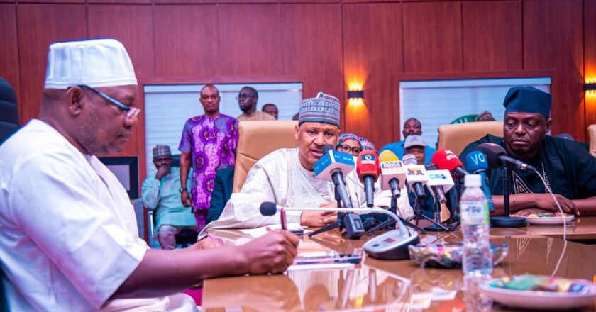 Mokwa flood: Tinubu directs nationwide sensitisation on dangers of flood