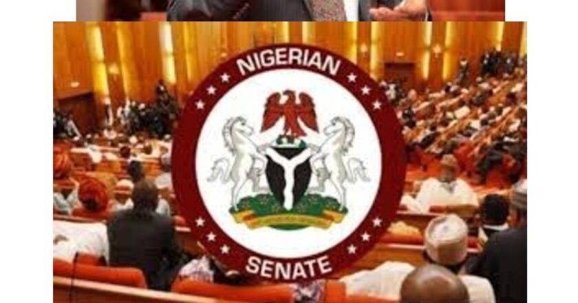 NNPCL’s “N210trn discrepancies”: Senate Public Accounts Committee Probes