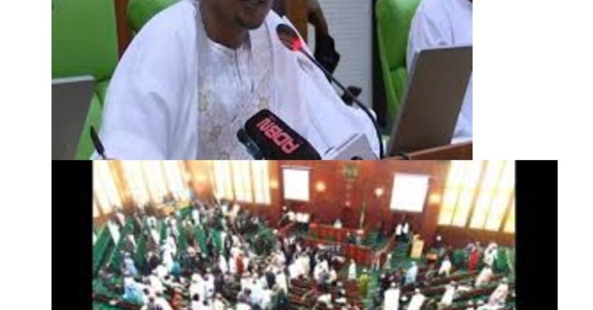 Stop the Collection of 7% Cost of Collection: Hon. Abejide directs Customs.