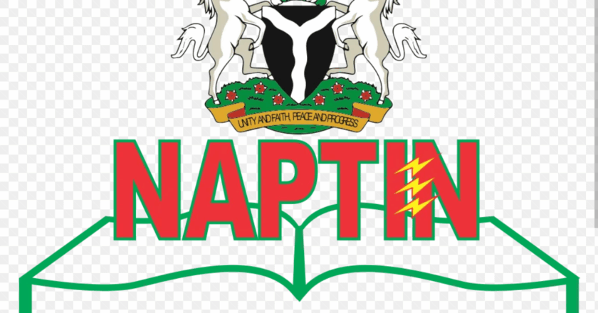 NAPTIN to train 4,000 youths in meter installation – D-G