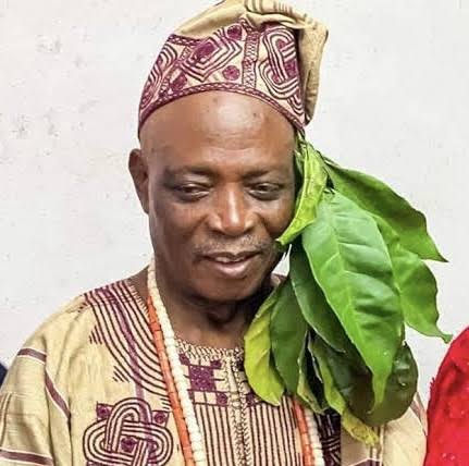 Olubadan-in-Waiting: Ladoja’s Prolonged Struggle and Ultimate Triumph in Ibadan’s Chieftaincy System By Alaba Abdulrazak