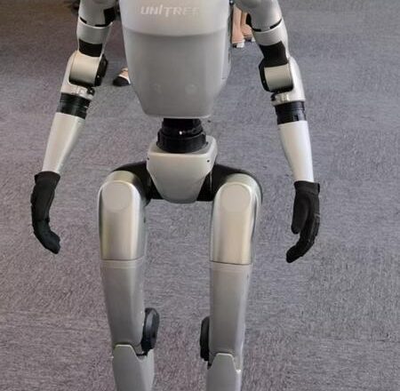From Science Fiction to Reality: A Glimpse into the Future at Unitree Robotics