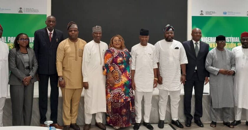 FG validates new industrial policy, targets inclusive growth, job creationPolicy