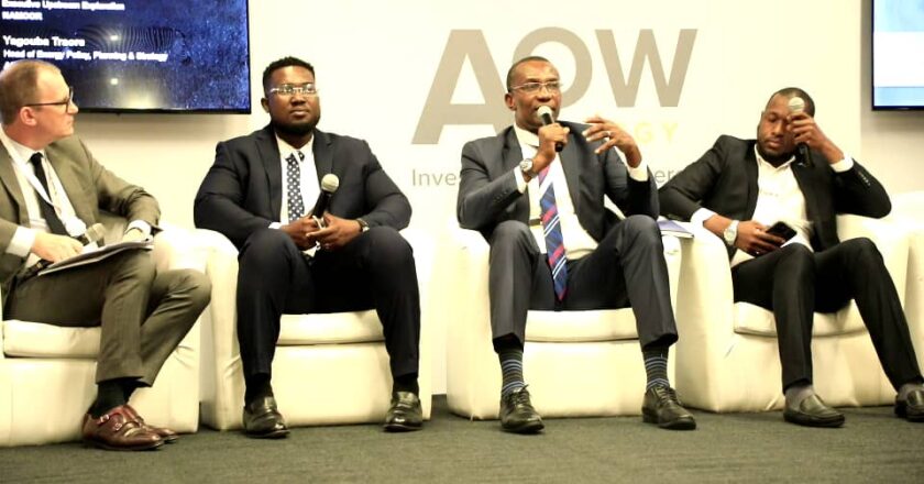 Cross-border collaboration, data accuracy, key to unlock Africa’s natural resources-Okwuosa