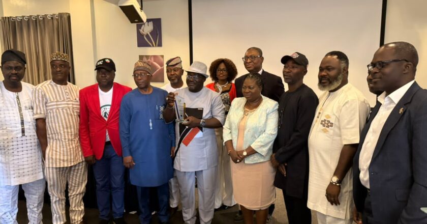 AI Disruption: Faleye calls for overhaul of social protection for workers