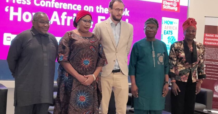 Hunger: Experts urge African governments to prioritise agriculture, trade reforms