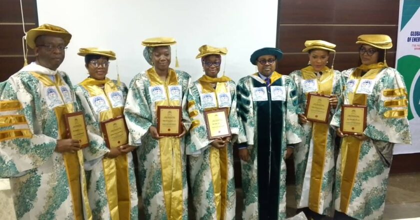 Global Chartered Institute of Energy Management Inaugurates Pioneer Fellows, Calls for Professionalism