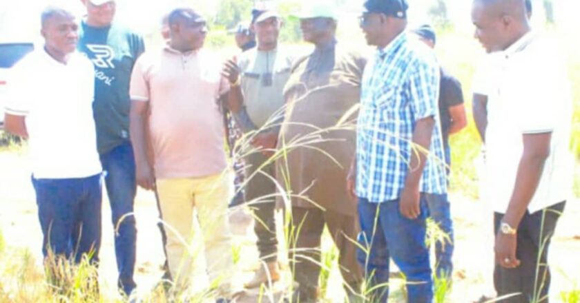 Nasarawa Assembly visits Jangwa Rice Farm, hails State Government agricultural drive as mass harvest kicks off.