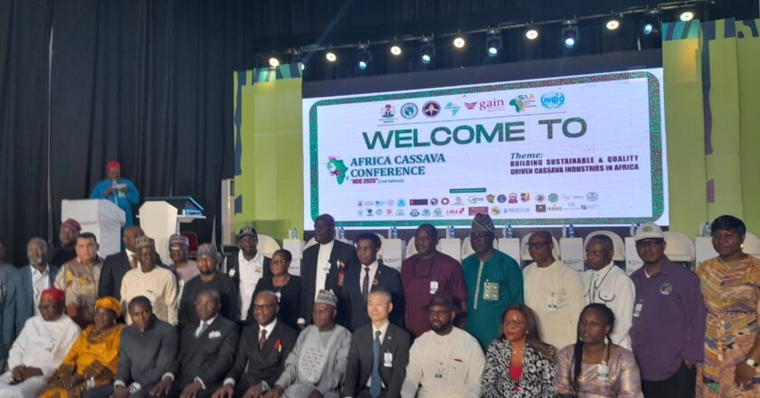 Science, innovation crucial for Africa’s cassava industrial growth- FG