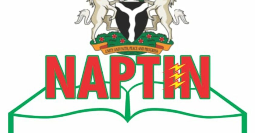 NAPTIN to build a skilled and sustainable work force for power sector