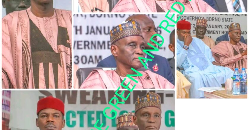 BORNO SENATORS APPLAUD LG POLLS, URGE GRASSROOTS SYNERGY FOR ZULUM’S AGENDA