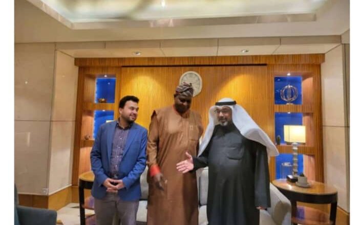 World Crafts Council Honours Runsewe With Africa Icon Award