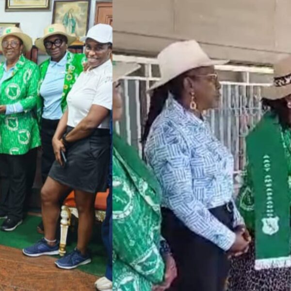 LGAN Honours Ozigbu, Decorates Cookey-Gam as AACT Ambassador