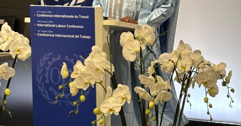 ILO Conference: Nigeria advocates human-centred AI to protect jobs, workers’ rights