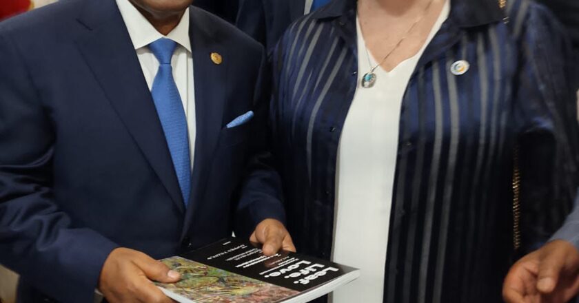 World Public Summit Debuts in Africa, Holds in Ethiopia July 29
