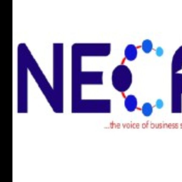 NECA to upgrade employers’ summit to international event in 2027