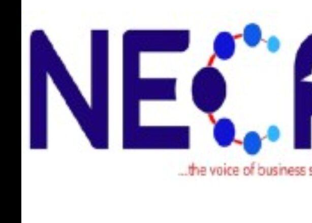 NECA inaugurates ESG implementation guide for MSMEs