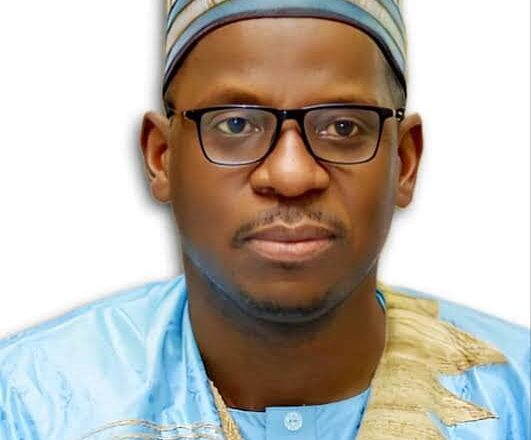 NAN MD hails NDE Phase III employment portal as timely intervention