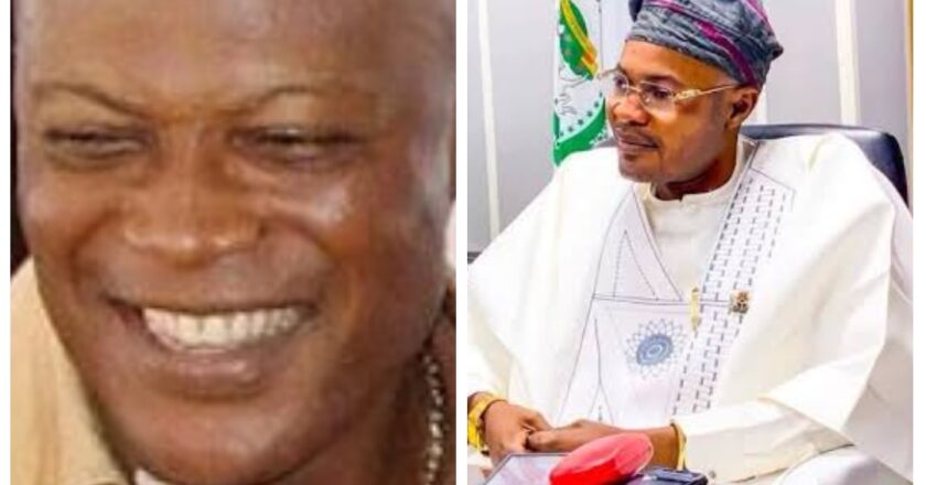 Mockery Of A Nation: From Nwude’s Fake Airport To Tinubu’s Phantom Council By Alaba Abdulrazak
