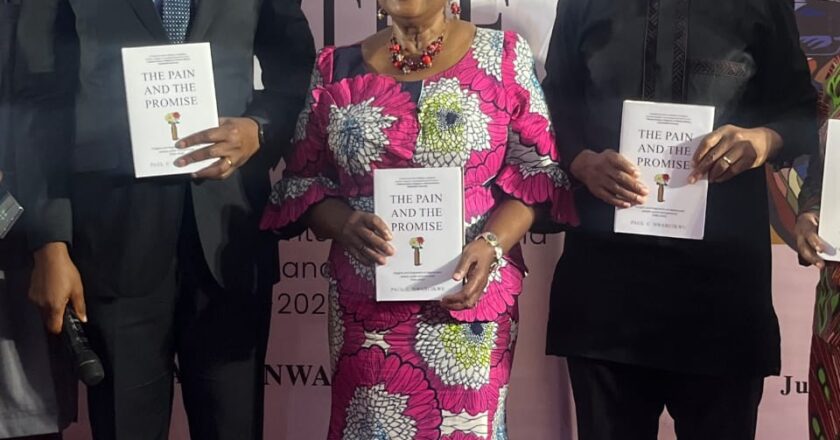 How Ngozi Okonjo-Iweala Discouraged me from Japa….Osita Chidoka