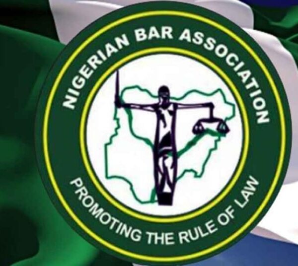 Nigerian Bar Association President-Elect Badejo-Okusanya SAN Constitutes 25-Member Transition Implementation Committee