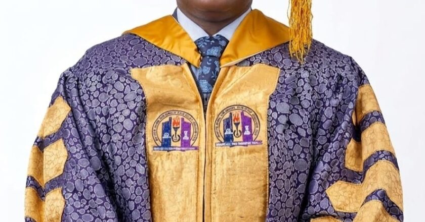 Castle Park University, US, Promotes Nigerian Public Health Expert Moriah to Professor