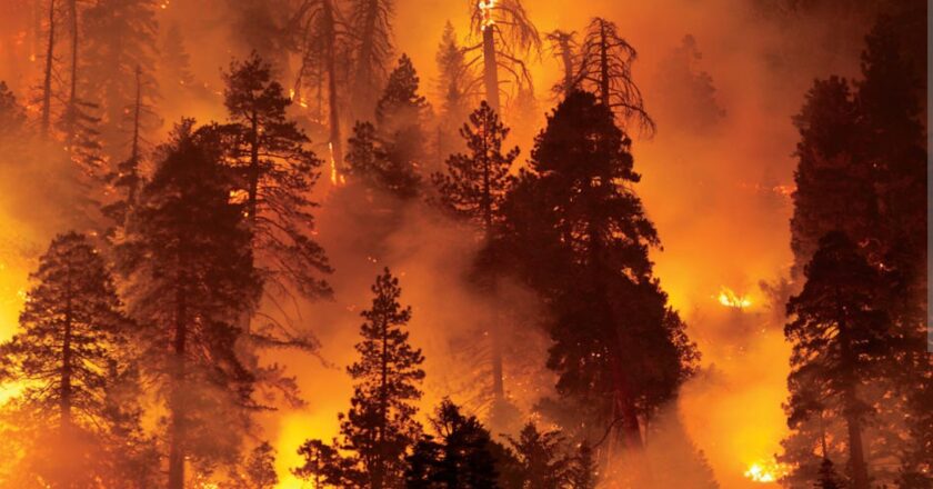 Greek wildfires devastate forests, homes as PM warns of tougher days