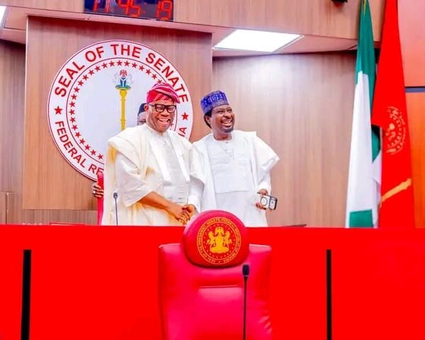 Senate Hails Cross-Party Alliance, Says Rainbow Coalition ‘On The Move’