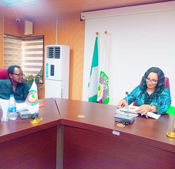 Nigeria Assures ECOWAS of Peaceful, Credible 2027 General Elections